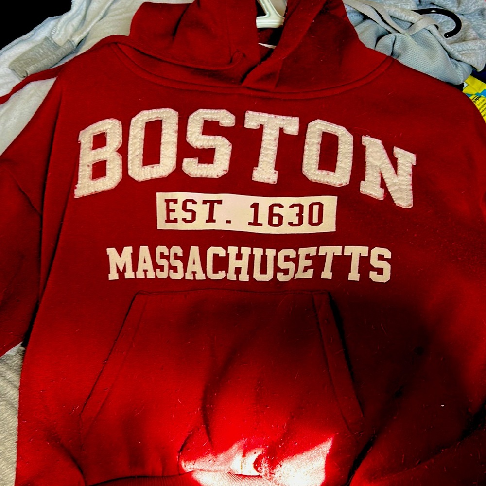 RED BOSTPN CROPED HOODIE